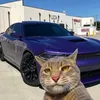 garik_1200