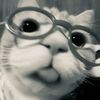 aisyah.luvv2