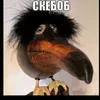 metro2033user