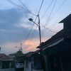 tammos16