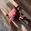 ss_77.3