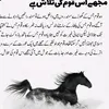 rehan.ali3771