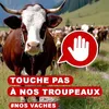 savoie121
