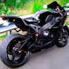 carlosdzib685