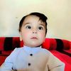 salih.safi80