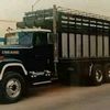 tomastepox735