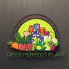 lifesperfectplant