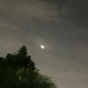 ali_alkayyem8