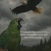 pedrohenrique69__