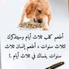 djbrl41194201
