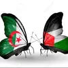 user3319781920906