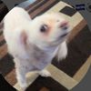 thiagoplayz4