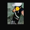 k.a_c.p