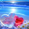 user1126098182083