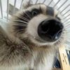 sparkie_sparkie