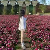 is.thuyvy17