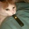 ihatevapecat