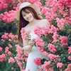 Phạm Trinh