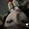 swer.doo