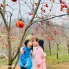 ngoc8252