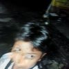 paci_444