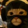 __nann23stecu