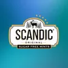 scandic_