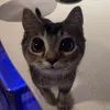 martinaspuriaa