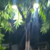 user6879081171405
