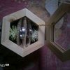 kamu_ituaku