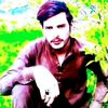 kamran81087
