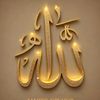 sonimalik868