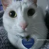 imscaredofblackthings