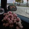 llooppqqr