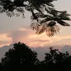 anhtuyett2124