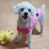 fannie.loke
