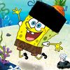 hilmi.canss
