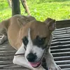 blop_bloop0
