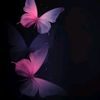 sohail.arshad876