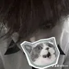 sirlikrzs