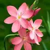 md.masud7692