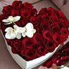 tahir.farhad3