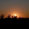 rich.gichuru