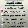 user5071138125019