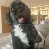 lordfrederick_