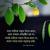 shorif.uddin323