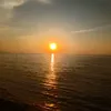 tu.dien0605