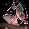 user6fghhrrkk