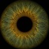 eliff_naaz789