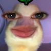 piraaaw___